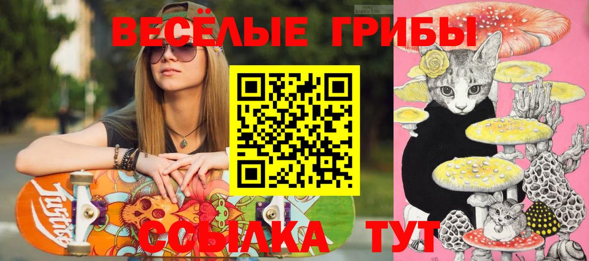 где купить наркоту  Псилоцибиновые грибы Psilocybe  Вход с VPN  Черкесск 