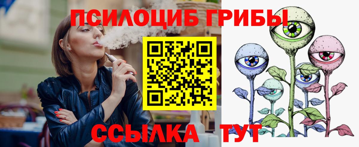 Псилоцибиновые грибы Psilocybe Черкесск